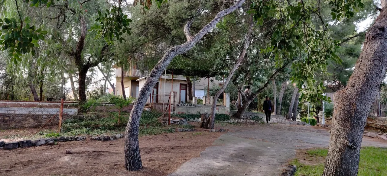 Parcela Urbana en Campolivar