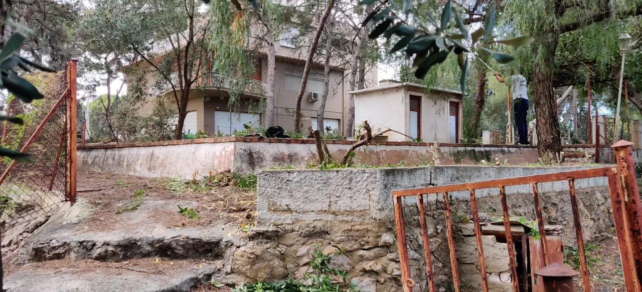 Terreno de 1.033m² (parcela) con agua a pie de parcela y luz a pie de parcela en Campolivar — foto 2