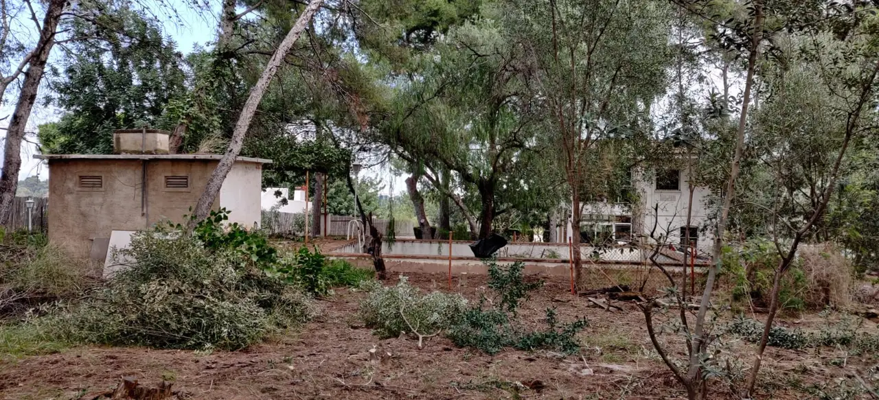 Terreno de 1.033m² (parcela) con agua a pie de parcela y luz a pie de parcela en Campolivar — foto 3
