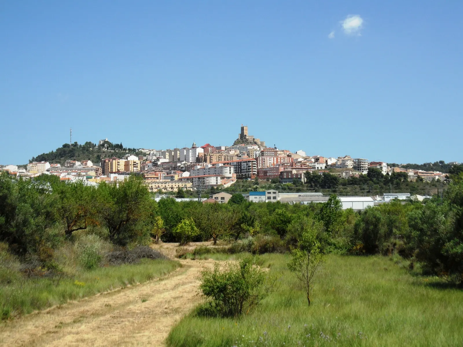 Vista de Banyeres de Mariola