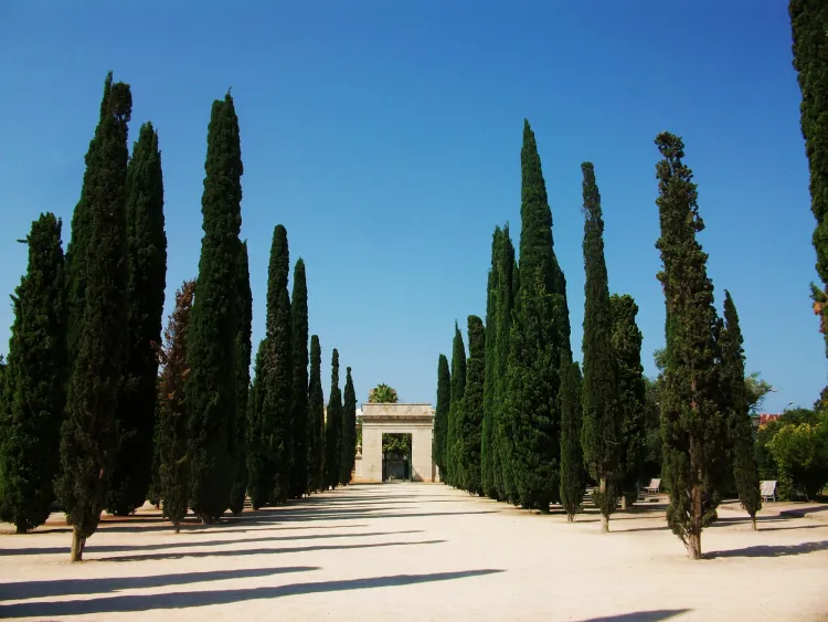 Exposicio jardines viveros