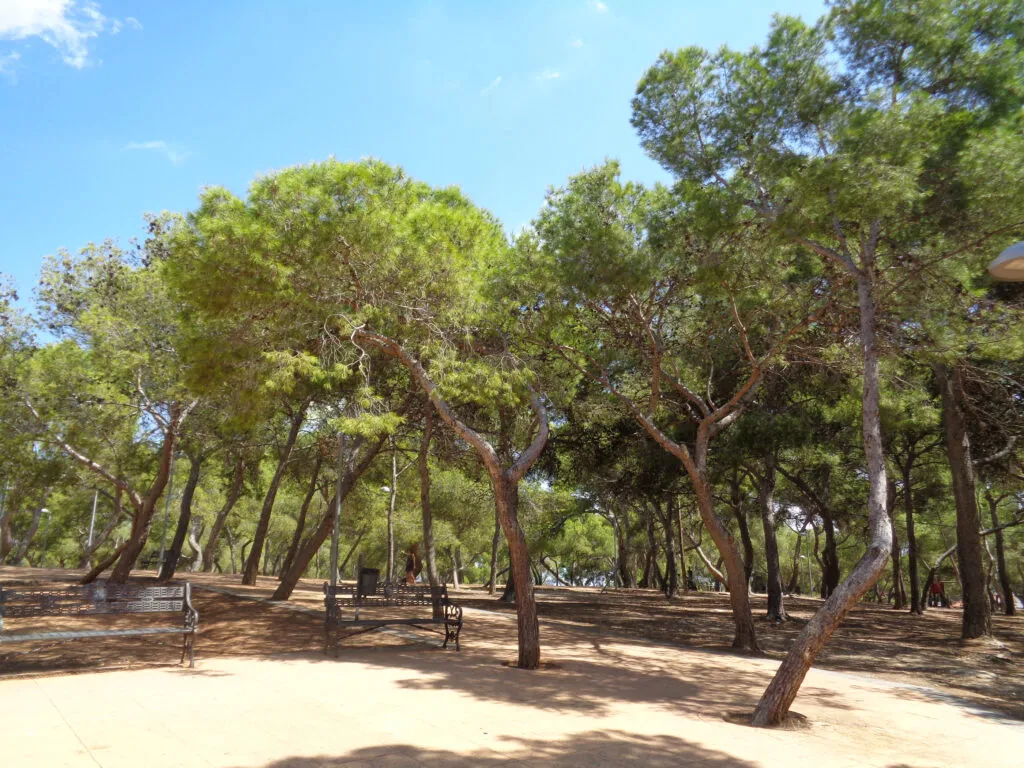 Vista de La Cañada