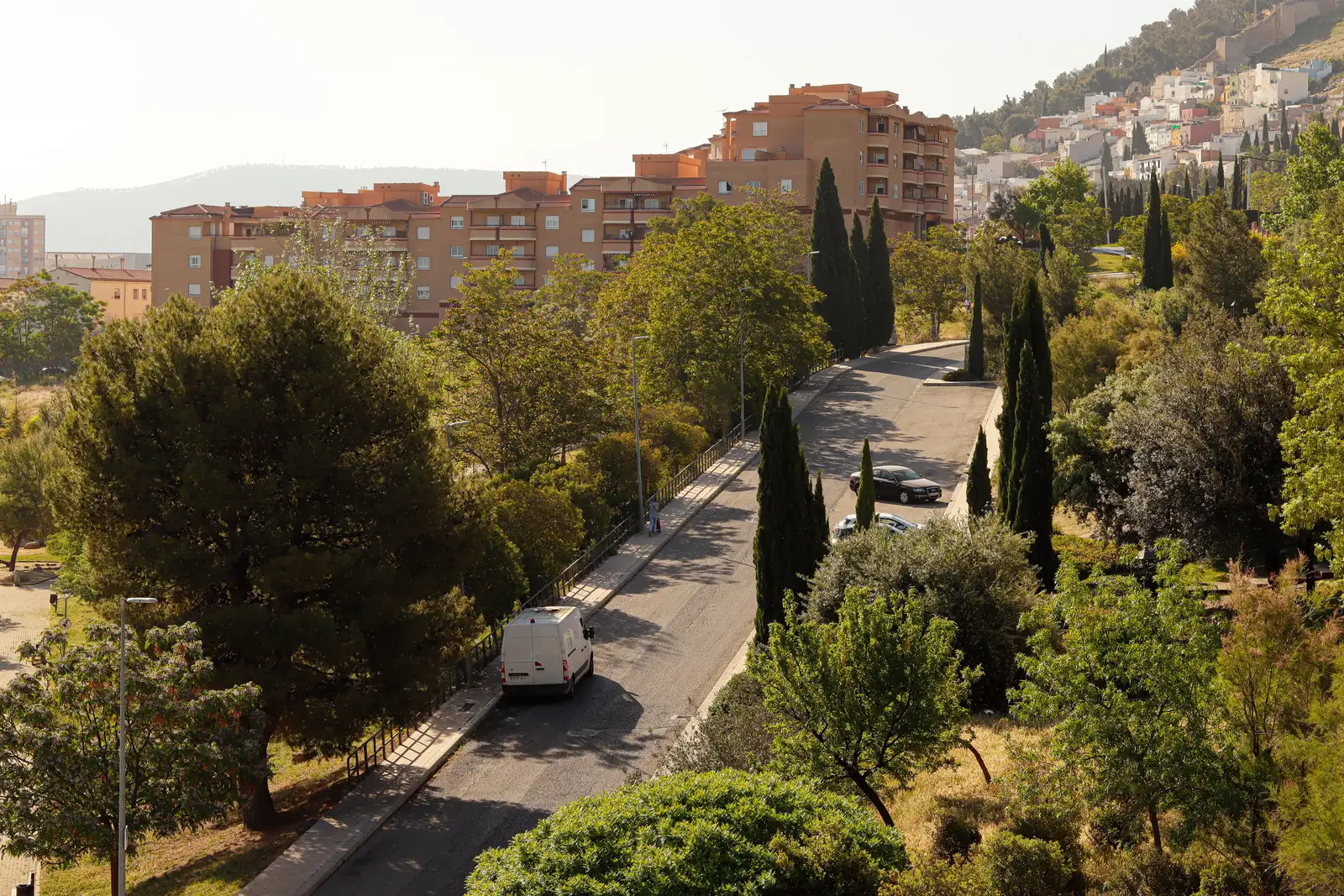 Vía de acceso arbolada junto a las parcelas residenciales de El Plantío, cerca del eje de la CV-35