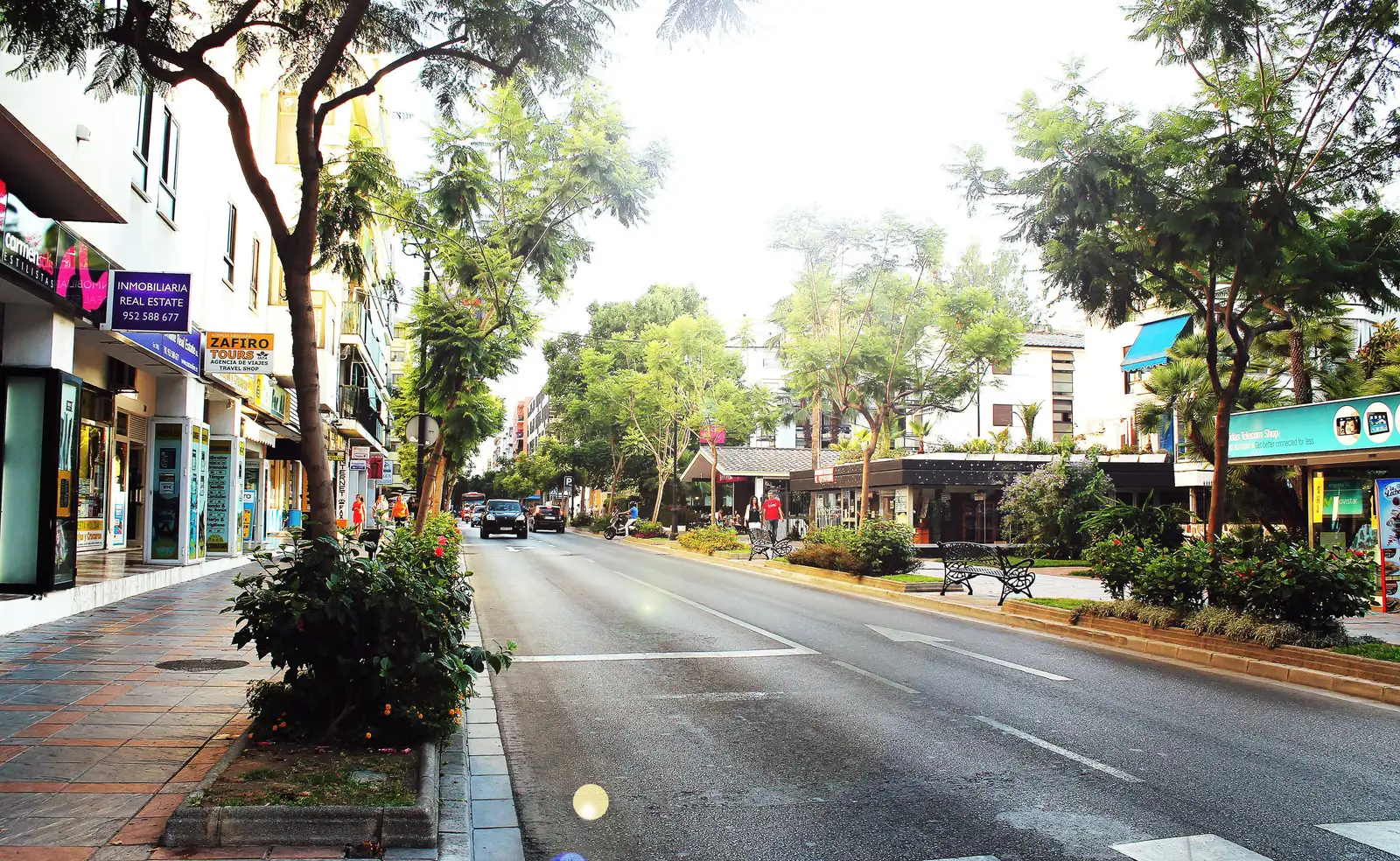 Calle urbana arbolada con locales comerciales a los dos lados —uno de ellos con rótulo de inmobiliaria—, mediana ajardinada y tráfico rodado.