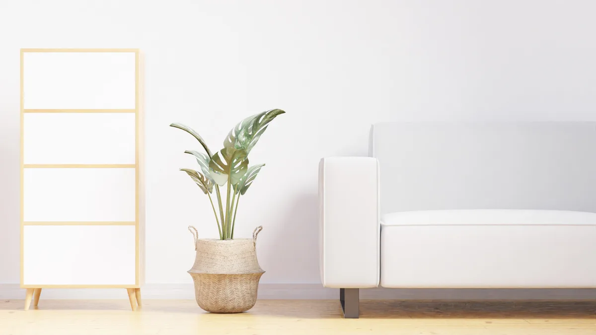 Salón con luz natural, plantas y materiales de madera, conexión con lo natural